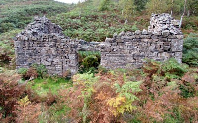 Photographs Of Shaw