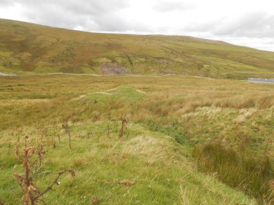 Photographs Of Shield Meadow