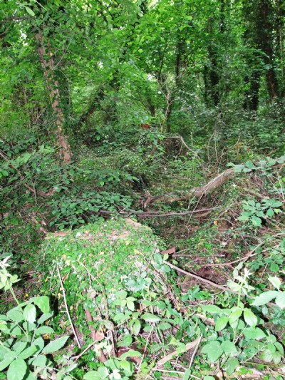 31.05.10 Shipley (Deepfield) Colliery- headgear base