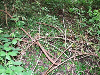 31.05.10 Shipley (Deepfield) Colliery- winding cable