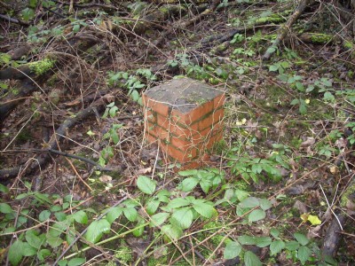 Pumping Shaft Marker
