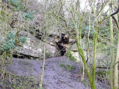 Southwestern Opening