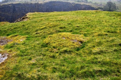 Photographs Of Siggate Head