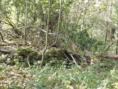 Photographs Of Silkstone Fall
