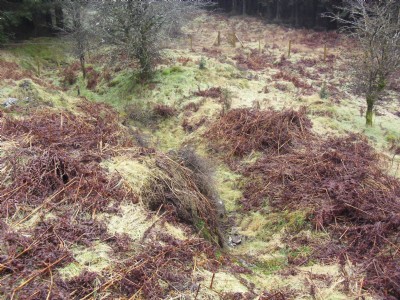 Collapsed adit