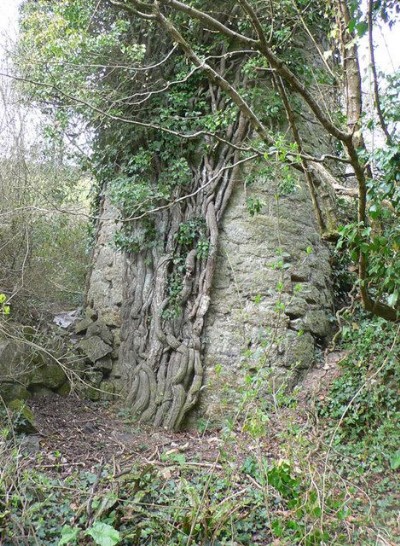 Photographs Of Silverbrook
