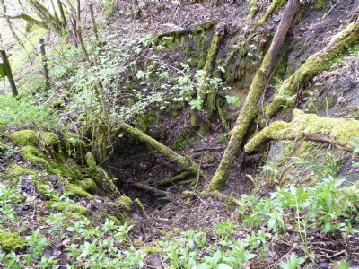 silvertongue shaft