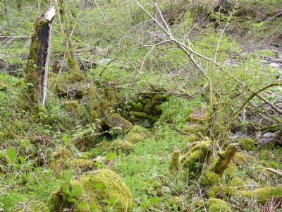 silvertongue water wheel pit