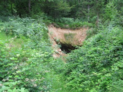 Overgrown approach to entrance of workings
