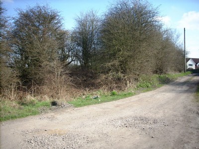 Photographs Of Skegby Engine (1808) Pit