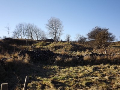 Mounds, earthworks and walled enclosures