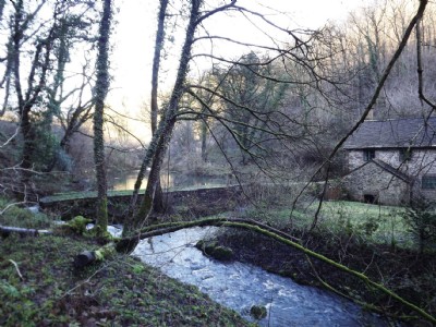 Mill & Mill Pond