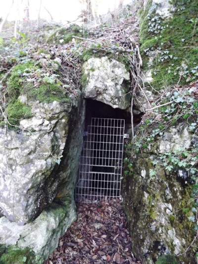 Photographs Of Slinter Tor (Owlet Hole) (Photo ref 81801)
