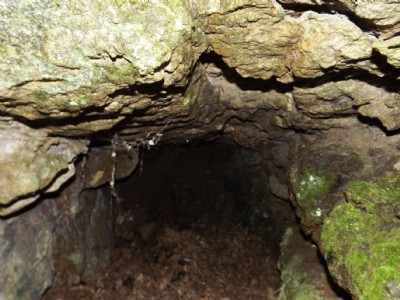 Photographs Of Slinter Tor (Owlet Hole) (Photo ref 81804)