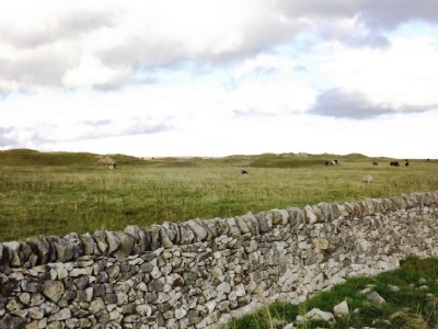 Photographs Of Slitherstone