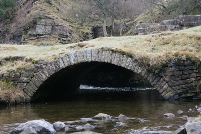 Photographs Of Slitt