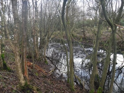One of the canal basins.