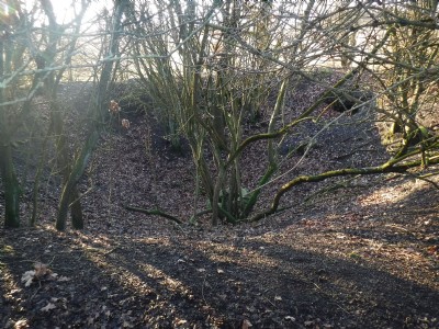 No1 shaft hollow, "service" tunnel at the back