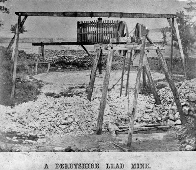 Historic Photographs Of Snake