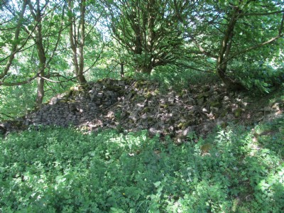 Buddle remains
