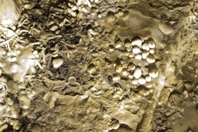 Mine pearls