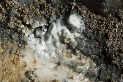 Mine pearls