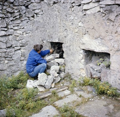 Snake Mine Coe 1970