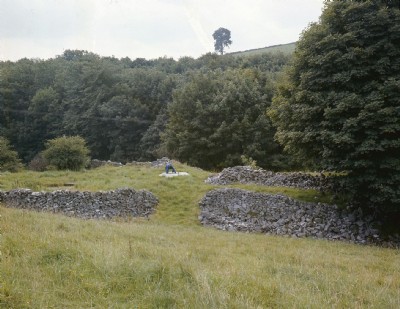 Snake Mine gin race and shaft 1970