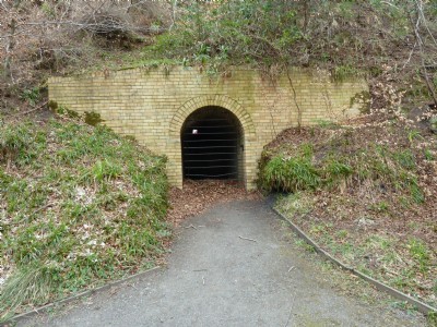 Photographs Of Snipes Dean Pit