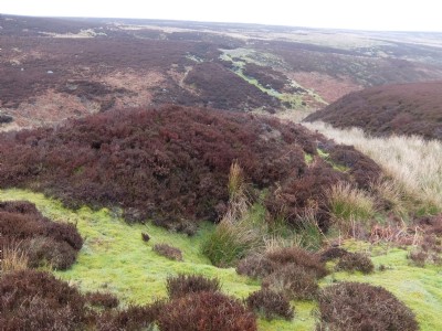 Photographs Of South Grain Beck