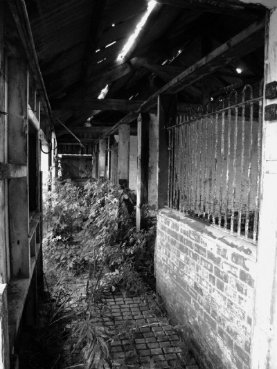 27.08.09 South Skelton - Stables