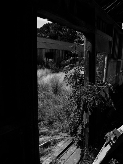 27.08.09 South Skelton - Stable shadows