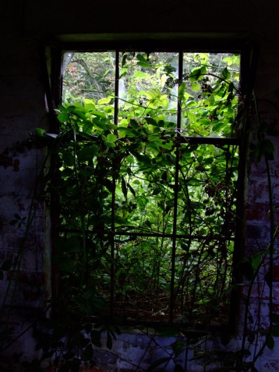 27.08.09 South Skelton - Overgrown