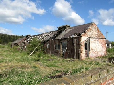 South Skelton 12.4.11