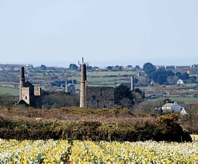 View looking S/w across SWF and West Wheal Basset