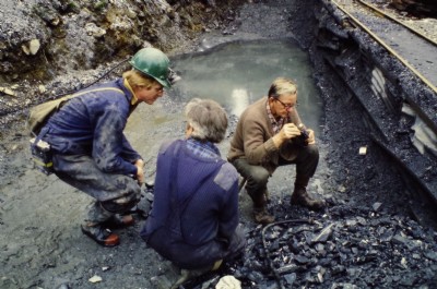 Jack Williams inspects samples