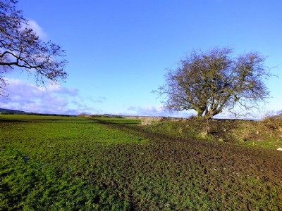 Unnamed Shaft and Blythe Sough Shaft