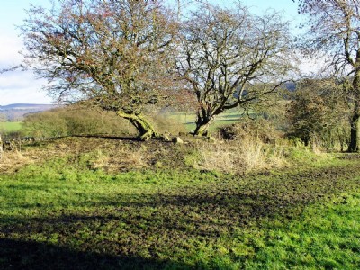 Unnamed Shaft