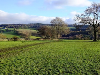 Unnamed shaft looking SE
