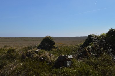 Photographs Of Treasure South