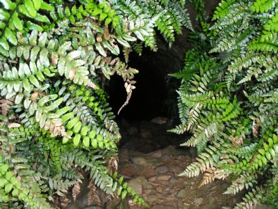 Trenow Consols