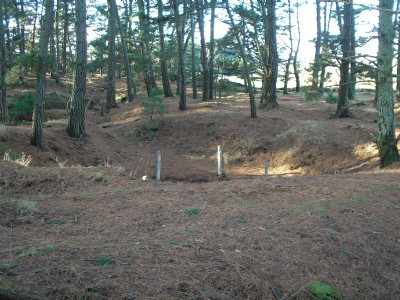 Photographs Of Trevarthian Downs