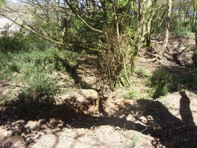 Trevelyan east old mens workings