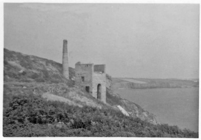 Trewavas head 1968
