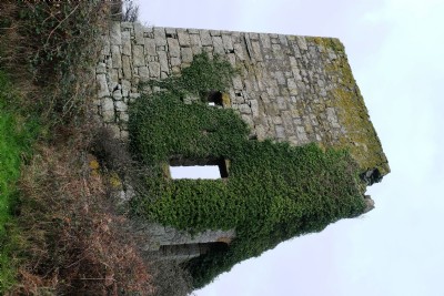 Tyringham Consols 19.12.16 Pump Engine House