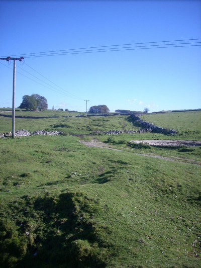 Photographs Of Talbot Holes