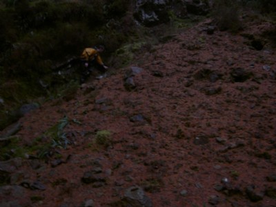 Spoil heap Talnotry