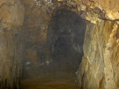 Level