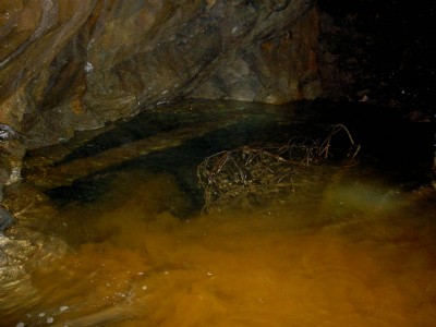 Flooded level