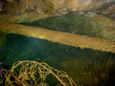 Flooded level